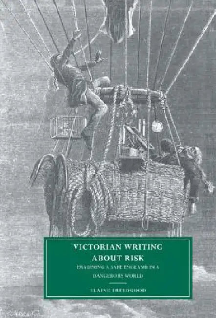 Victorian Writing about Risk (English, Elaine Freedgood | Gillian Beer)