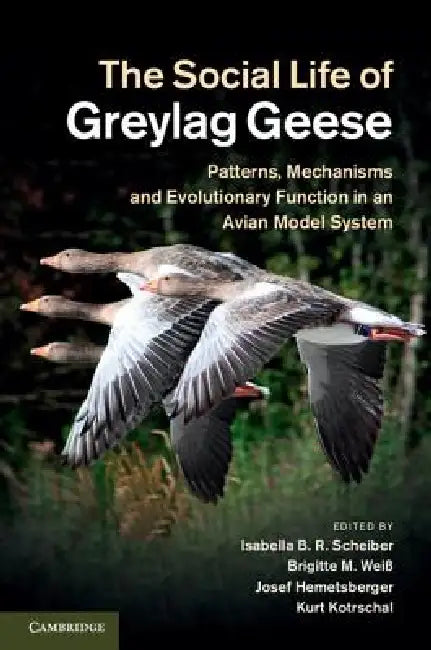 The Social Life of Greylag Geese (English, Isabella B. R. Scheiber | Brigitte M. Weiß | Josef Hemetsberger)