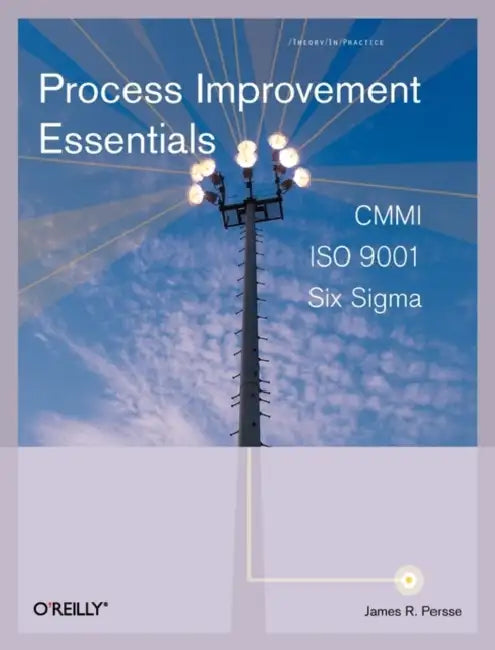 Process Improvement Essentials (English, James R. Persse Phd)