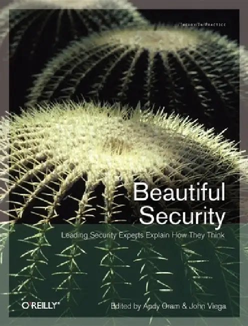 Beautiful Security (English, Andy Oram | John Viega)