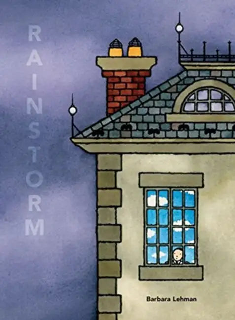 Rainstorm (English, Barbara Lehman)