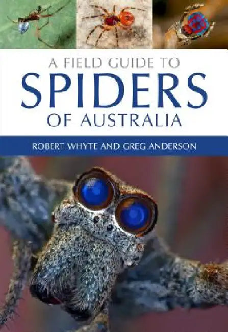 A Field Guide to Spiders of Australia (English, Robert Whyte | Greg Anderson | Tim Low)