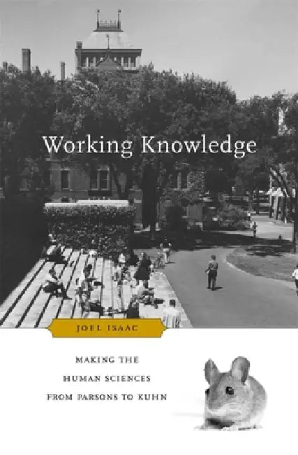 Working Knowledge (English, Joel Isaac)