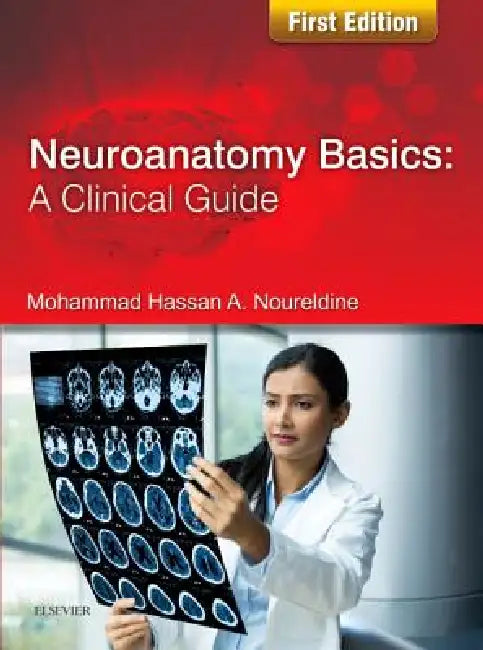 Neuroanatomy Basics (English, Mohammad Noureldine)