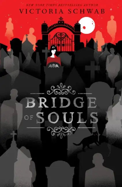 Bridge of Souls (English, Victoria Schwab)