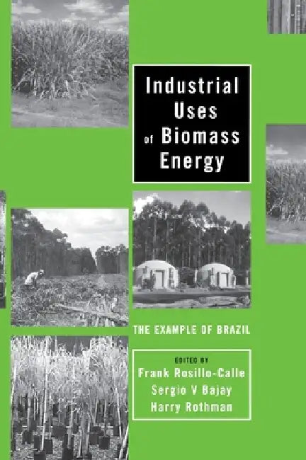 Industrial Uses of Biomass Energy (English, Frank Rosillo-Calle | Sergio V. Bajay | Harry Rothman)
