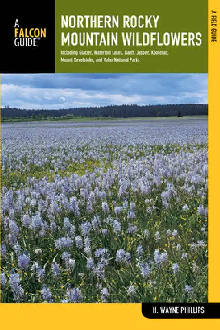 Northern Rocky Mountain Wildflowers (English, H. Wayne Phillips)