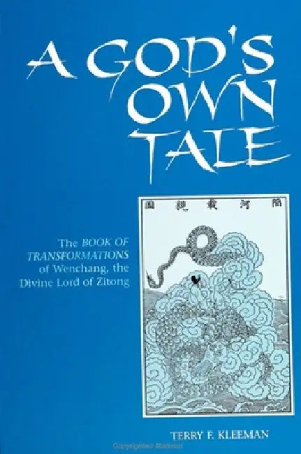 A God's Own Tale (English, Terry F. Kleeman)