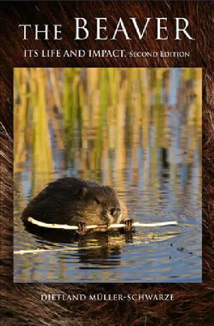 The Beaver (English, Dietland Müller-Schwarze)