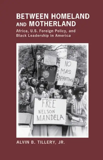 Between Homeland and Motherland (English, Alvin B. Tillery)