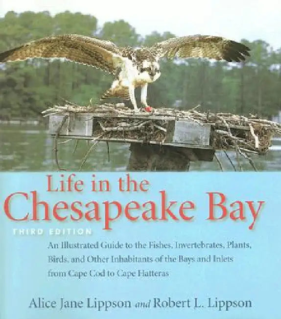 Life in the Chesapeake Bay (English, Alice Jane Lippson | Robert L. Lippson)