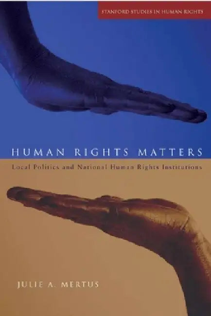 Human Rights Matters (English, Julie A. Mertus)