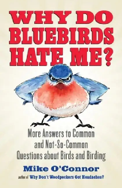 Why Do Bluebirds Hate Me? (English, Mike O'Connor)
