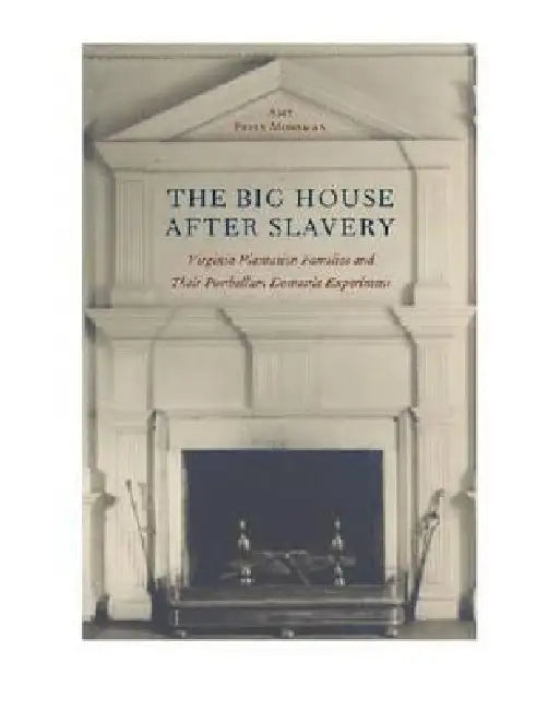 The Big House After Slavery (English, Amy Feely Morsman)