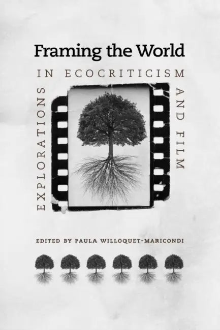 Framing the World (English, Paula Willoquet-Maricondi)