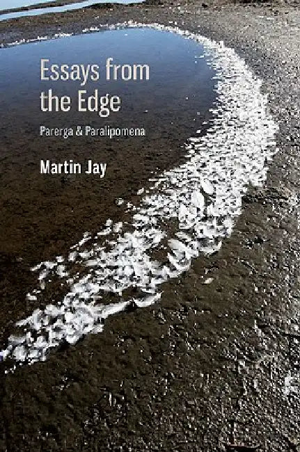 Essays from the Edge (English, Martin Jay)