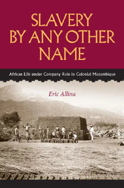 Slavery by Any Other Name (English, Eric Allina)