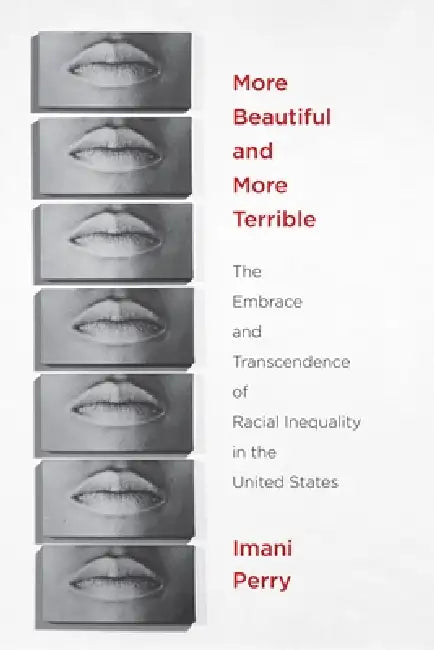 More Beautiful and More Terrible (English, Imani Perry)