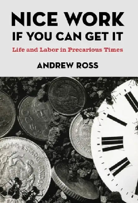 Nice Work If You Can Get It (English, Andrew Ross)