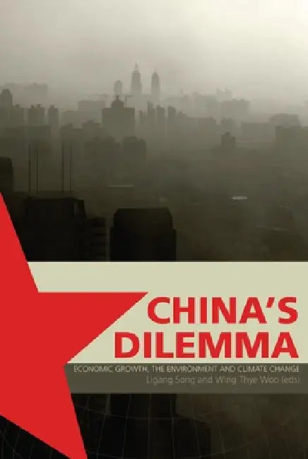 China's Dilemma (English, Ligang Song | Wing Thye Woo)