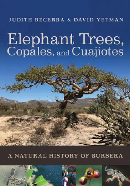 Elephant Trees, Copales, and Cuajiotes (English, Judith X. Becerra | David Yetman | Exequiel Ezcurra)