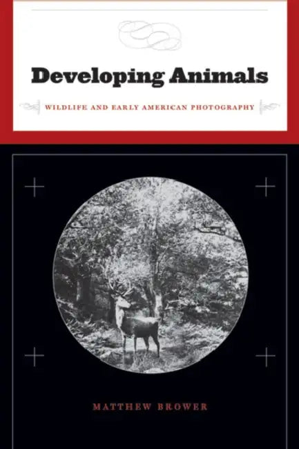 Developing Animals (English, Matthew Brower)