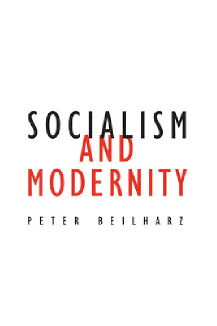 Socialism and Modernity (English, Peter Beilharz)