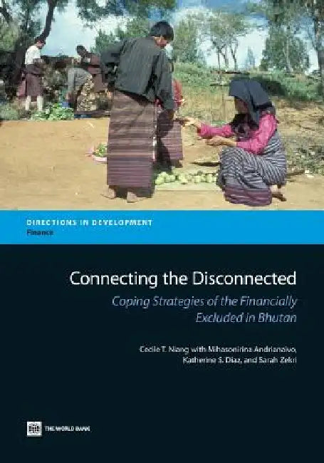 Connecting the Disconnected (English, Cecile T. Niang | Mihasonirina Andrianaivo | Katherine S. Diaz)