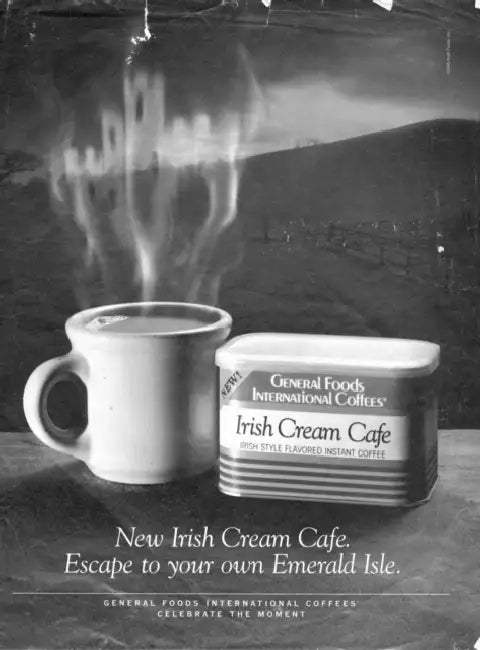 The Irish in Us (English, Diane Negra)