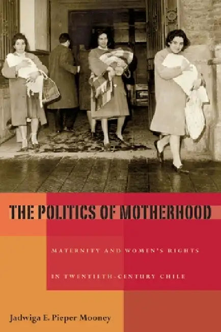 The Politics of Motherhood (English, Jadwiga Pieper Mooney)