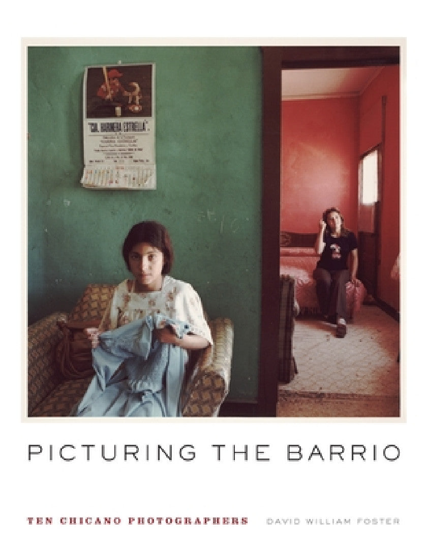 Picturing the Barrio (English, David William Foster)