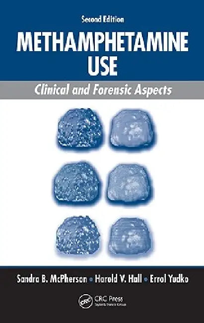 Methamphetamine Use (English, Sandra B. Mcpherson | Harold V. Hall | Errol Yudko)