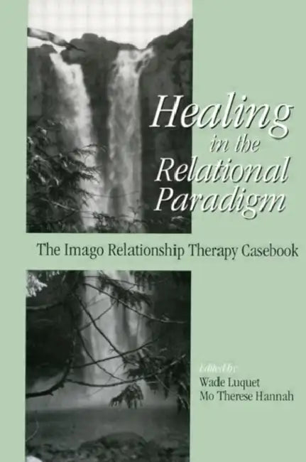 Healing in the Relational Paradigm (English, Wade Luquet)