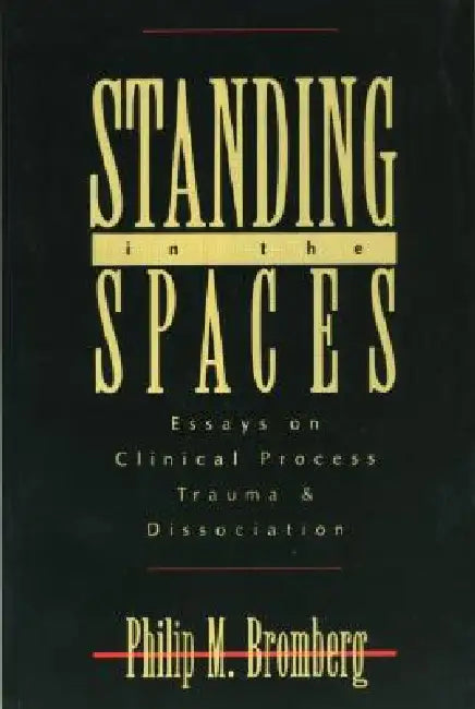 Standing in the Spaces (English, Philip M. Bromberg)