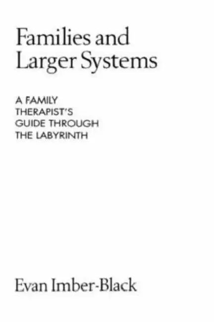 Families and Larger Systems (English, Evan Imber-Black)