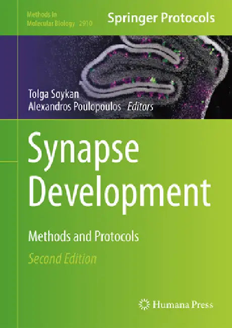Synapse Development (English, Tolga Soykan | Alexandros Poulopoulos)