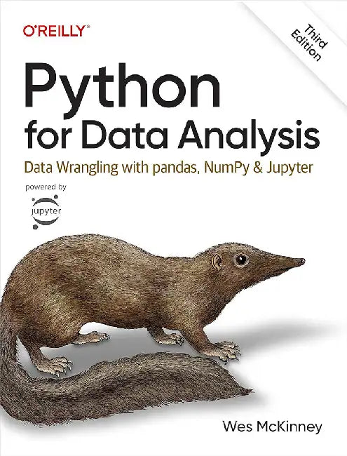 Python for Data Analysis (English)