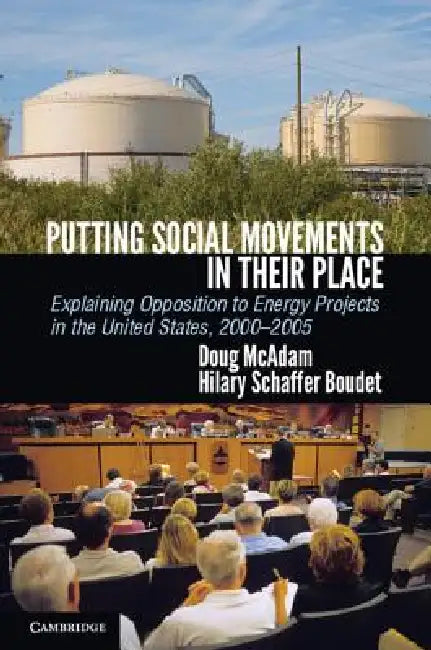 Putting Social Movements in Their Place (English, Doug McAdam | Hilary Boudet)