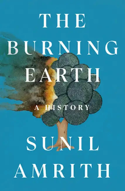 The Burning Earth (English, Sunil Amrith)