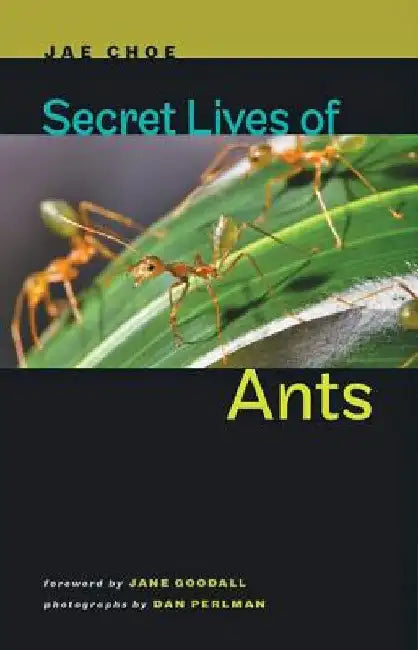 Secret Lives of Ants (English, Jae Choe)