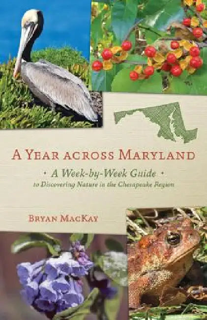 A Year Across Maryland (English, Bryan MacKay)