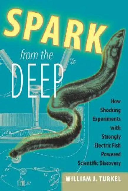 Spark from the Deep (English, William J. Turkel)