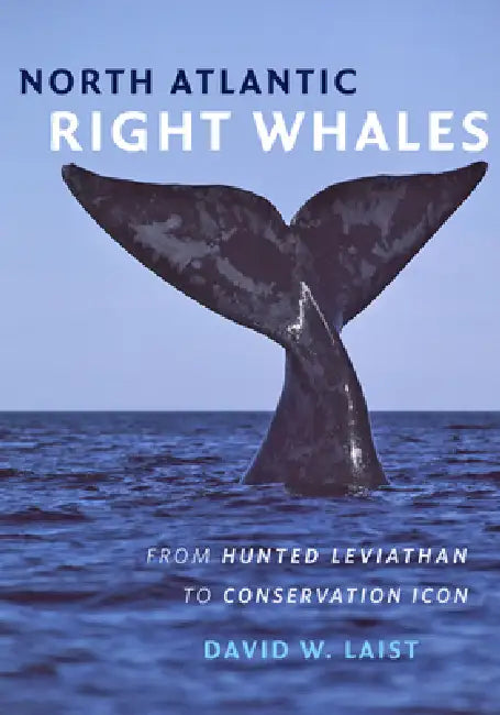 North Atlantic Right Whales (English, David W. Laist)