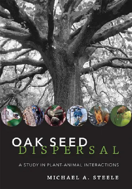 Oak Seed Dispersal (English, Michael A. Steele)