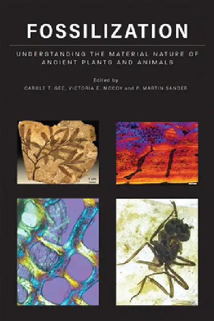 Fossilization (English, Carole T. Gee | Victoria E. McCoy | P. Martin Sander)