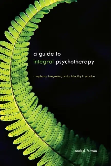 A Guide to Integral Psychotherapy (English, Mark D. Forman)