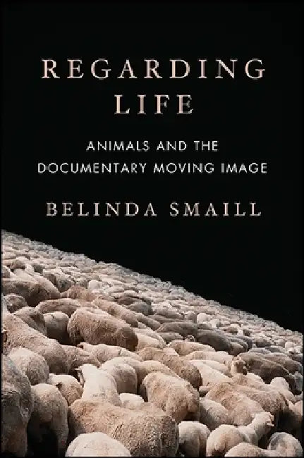 Regarding Life (English, Belinda Smaill)