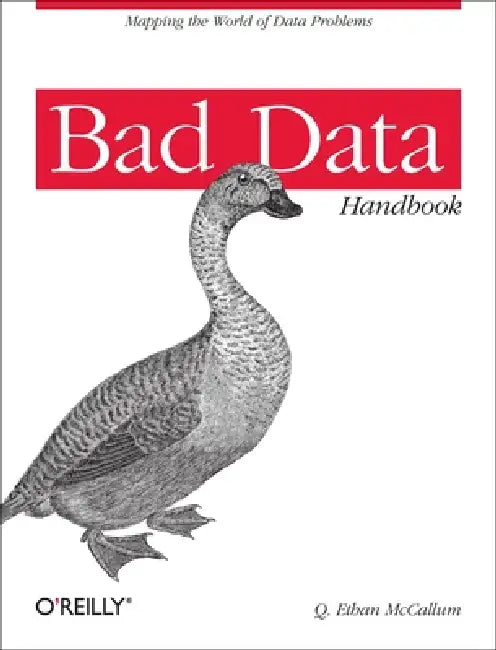 Bad Data Handbook (English, Q. McCallum)