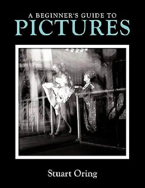 A Beginner's Guide to Pictures (English, Stuart Oring)