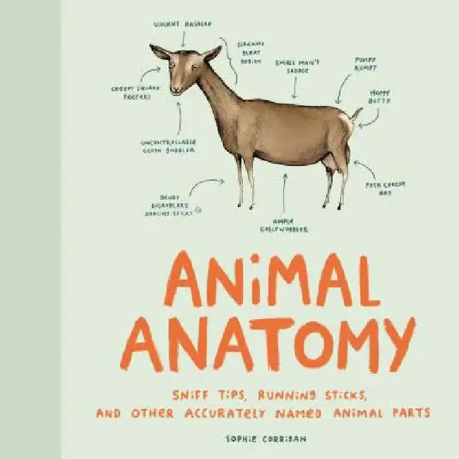 Animal Anatomy (English, Sophie Corrigan)